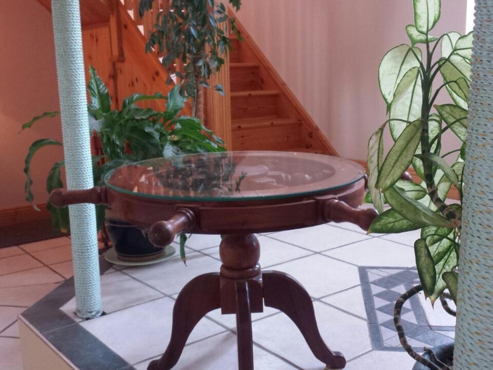 דונקנון Seashells B&B מראה חיצוני תמונה