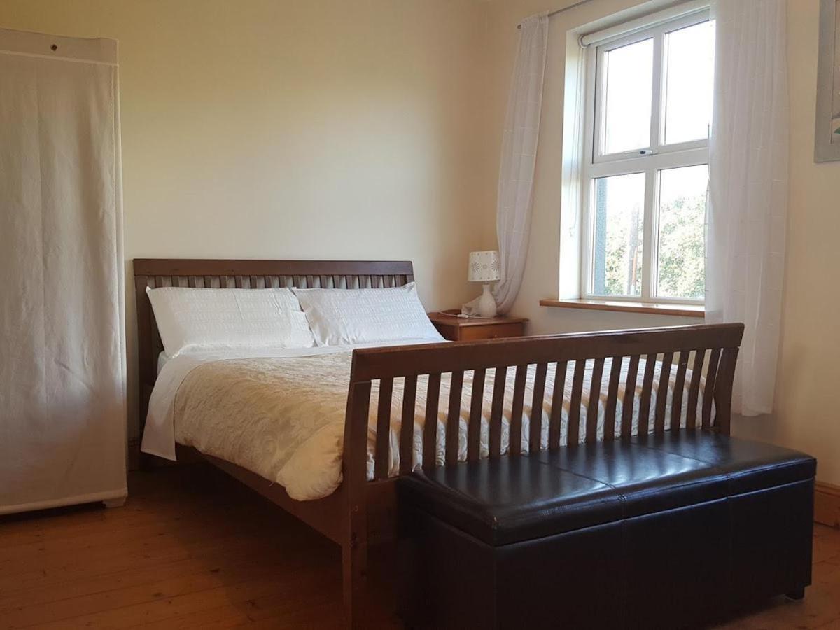 דונקנון Seashells B&B מראה חיצוני תמונה